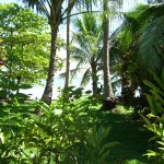 Garden to beach